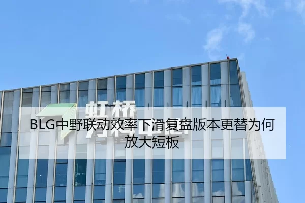 BLG中野联动效率下滑复盘版本更替为何放大短板