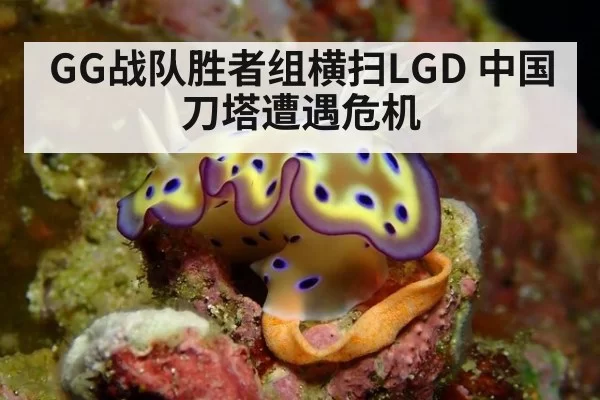 GG战队胜者组横扫LGD 中国刀塔遭遇危机